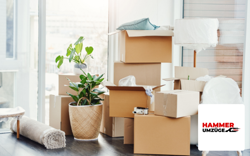 SEO Agentur Bremen Referenz Umzugsunternehmen